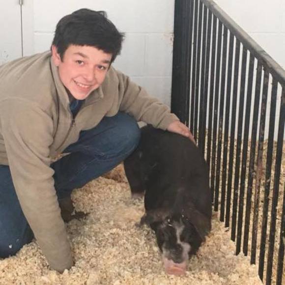 Meet your Posher, Gavin - Picture 1 of 1